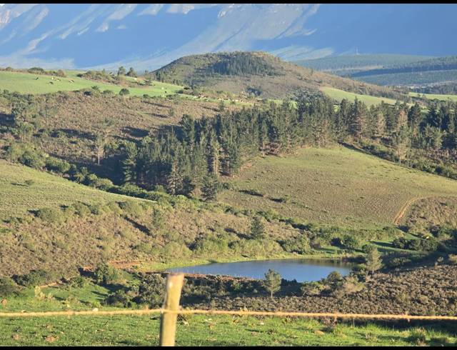 539HA FARM FOR SALE IN RIVERSDALE RURAL